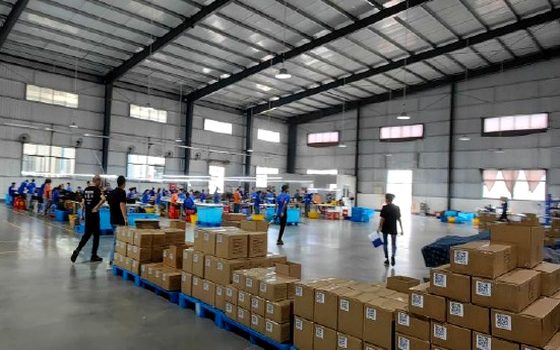 Cartons packed for export in our warehouse